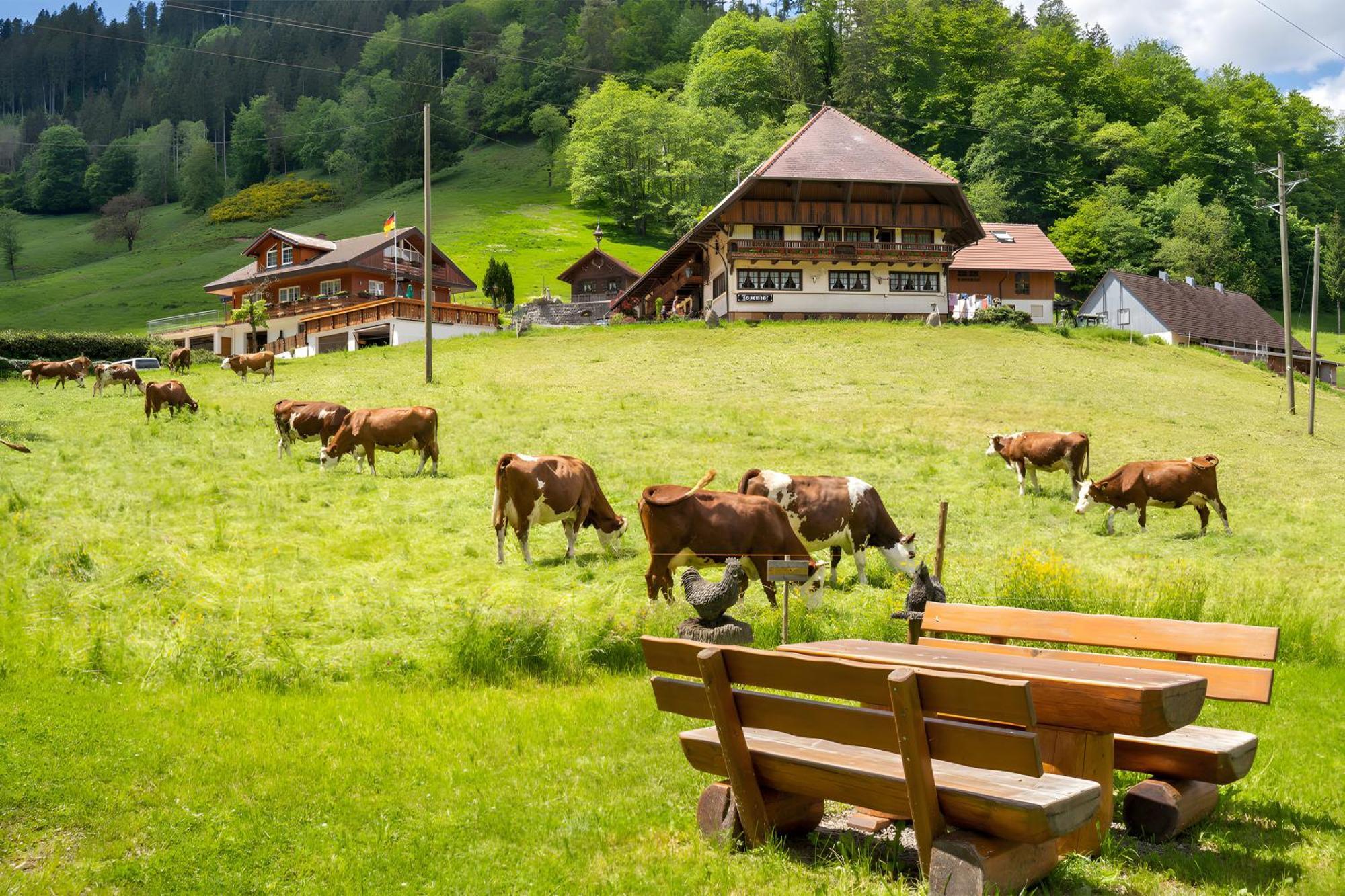 Josenhof Hotel Wolfach Exterior photo